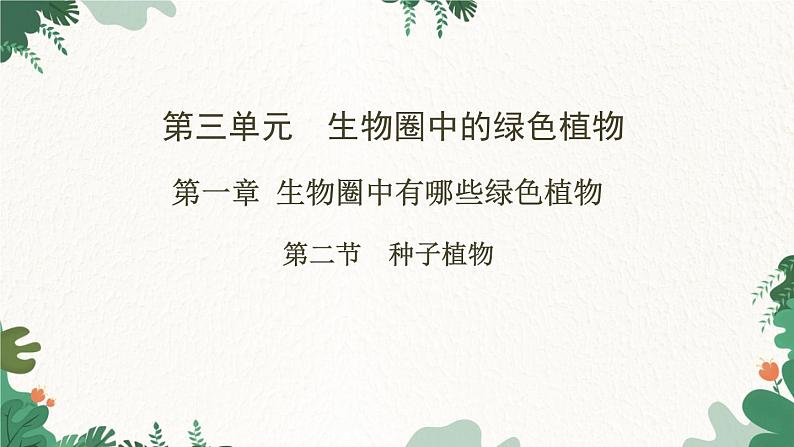 人教版生物七年级上册 第三单元 第一章 生物圈中有哪些绿色植物 第二节 种子植物课件01