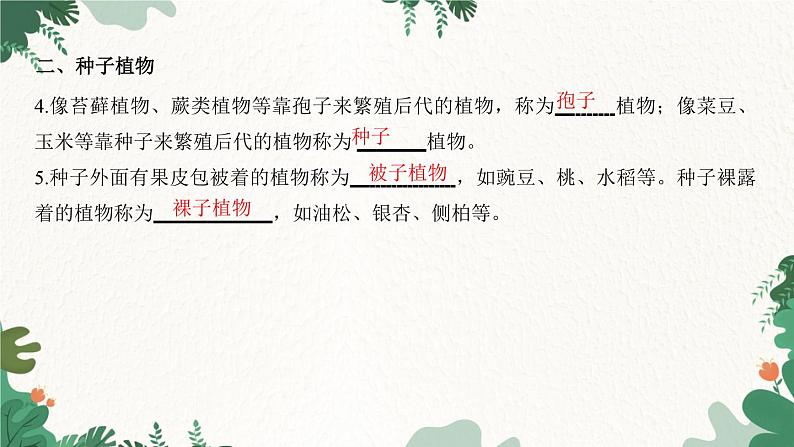 人教版生物七年级上册 第三单元 第一章 生物圈中有哪些绿色植物 第二节 种子植物课件03