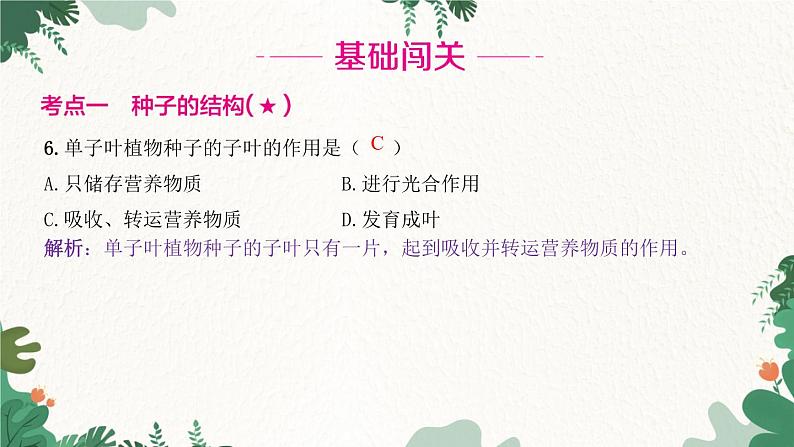 人教版生物七年级上册 第三单元 第一章 生物圈中有哪些绿色植物 第二节 种子植物课件04