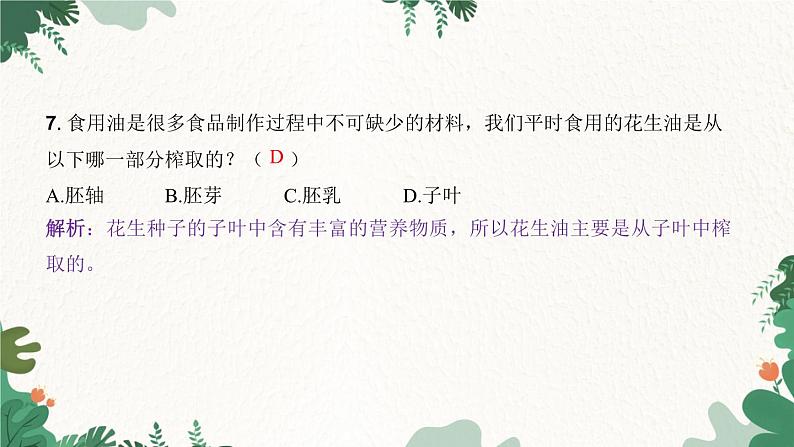 人教版生物七年级上册 第三单元 第一章 生物圈中有哪些绿色植物 第二节 种子植物课件05