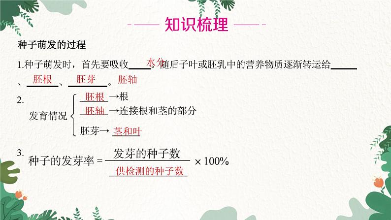 人教版生物七年级上册 第三单元 第二章 被子植物的一生 第一节 种子的萌发 第二课时课件02