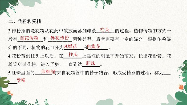 人教版生物七年级上册 第三单元 第二章 被子植物的一生 第三节 开花和结果课件03