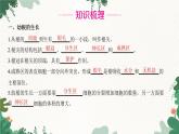人教版生物七年级上册 第三单元 第二章 被子植物的一生 第二节 植株的生长课件