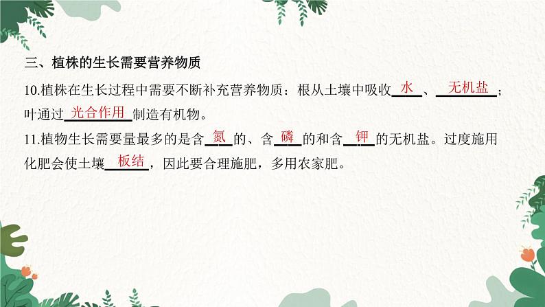 人教版生物七年级上册 第三单元 第二章 被子植物的一生 第二节 植株的生长课件04