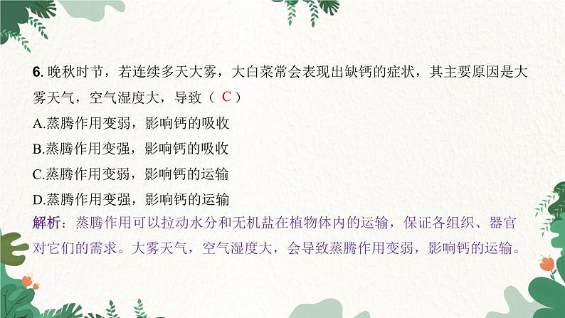 人教版生物七年级上册 第三单元 第三章 绿色植物与生物圈的水循环 第二课时课件05