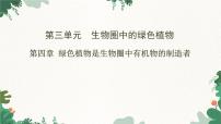 初中生物人教版 (新课标)七年级上册第三单元 生物圈中的绿色植物第四章 绿色植物是生物圈中有机物的制造者课文内容课件ppt