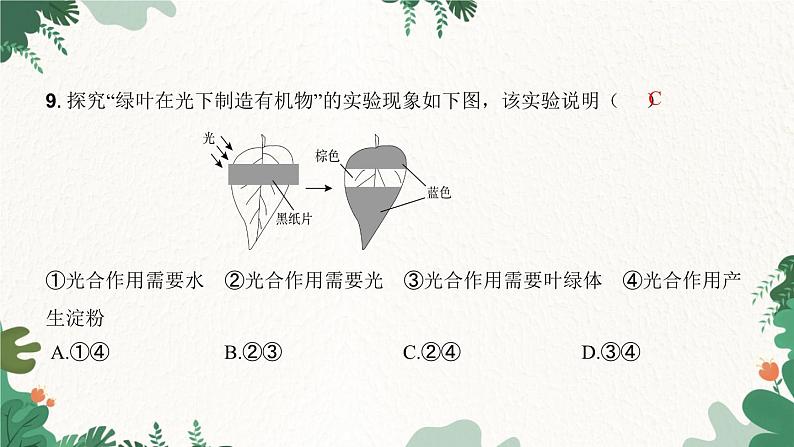 人教版生物七年级上册 第三单元 第四章 绿色植物是生物圈中有机物的制造者课件07