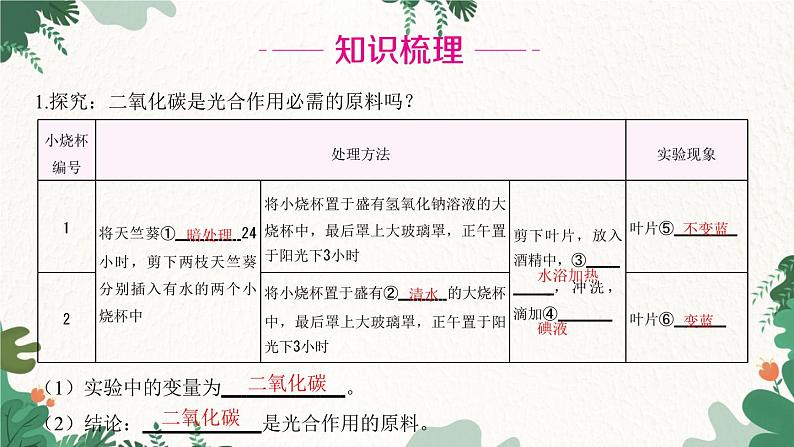 人教版生物七年级上册 第三单元 第五章 绿色植物与生物圈中的碳—氧平衡 第一节 光合作用吸收二氧化碳释放氧气 第一课时课件02