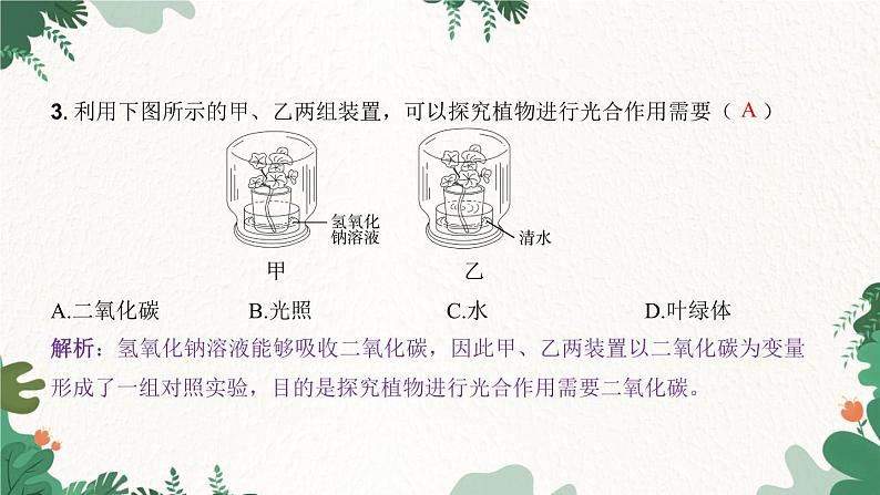 人教版生物七年级上册 第三单元 第五章 绿色植物与生物圈中的碳—氧平衡 第一节 光合作用吸收二氧化碳释放氧气 第一课时课件04