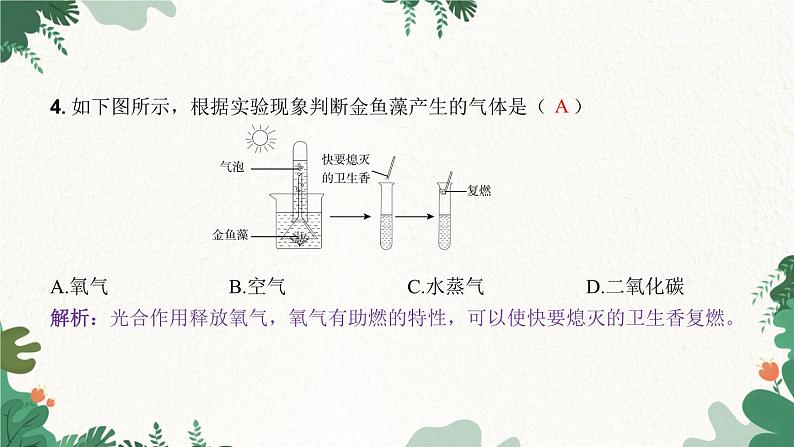 人教版生物七年级上册 第三单元 第五章 绿色植物与生物圈中的碳—氧平衡 第一节 光合作用吸收二氧化碳释放氧气 第一课时课件05