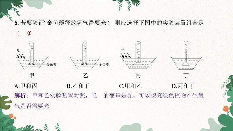 人教版生物七年级上册 第三单元 第五章 绿色植物与生物圈中的碳—氧平衡 第一节 光合作用吸收二氧化碳释放氧气 第一课时课件06