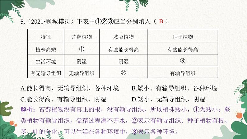 人教版生物七年级上册 第三单元过关检测卷课件06