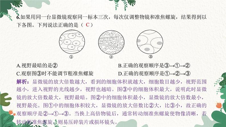 人教版生物七年级上册 期末过关检测卷课件07