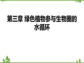 人教版生物七年级上册  3.3绿色植物参与生物圈的水循环课件