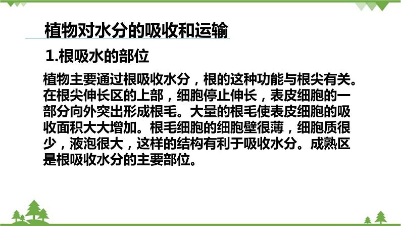 人教版生物七年级上册  3.3绿色植物参与生物圈的水循环课件02