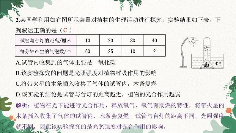 人教版生物七年级上册 专题三 绿色植物的三大作用课件03