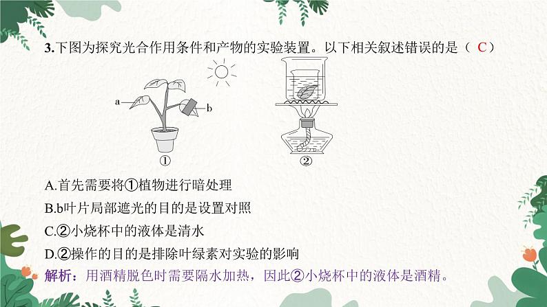 人教版生物七年级上册 专题三 绿色植物的三大作用课件04