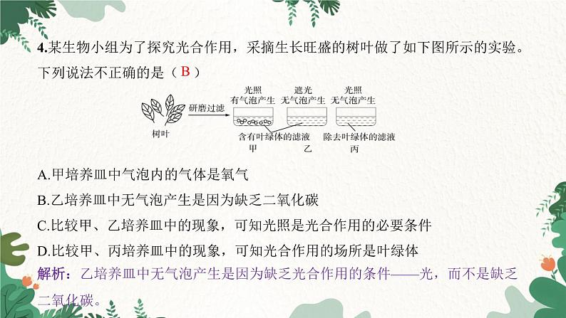 人教版生物七年级上册 专题三 绿色植物的三大作用课件05