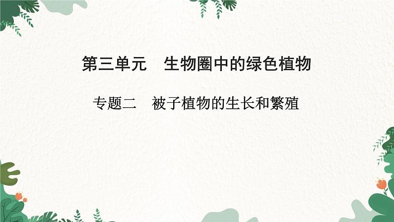 人教版生物七年级上册 专题二 被子植物的生长和繁殖课件01