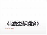 人教版《鸟的生殖和发育》PPT课件