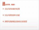 人教版《鸟的生殖和发育》PPT课件