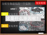 人教版生物《生物进化的原因》PPT课件