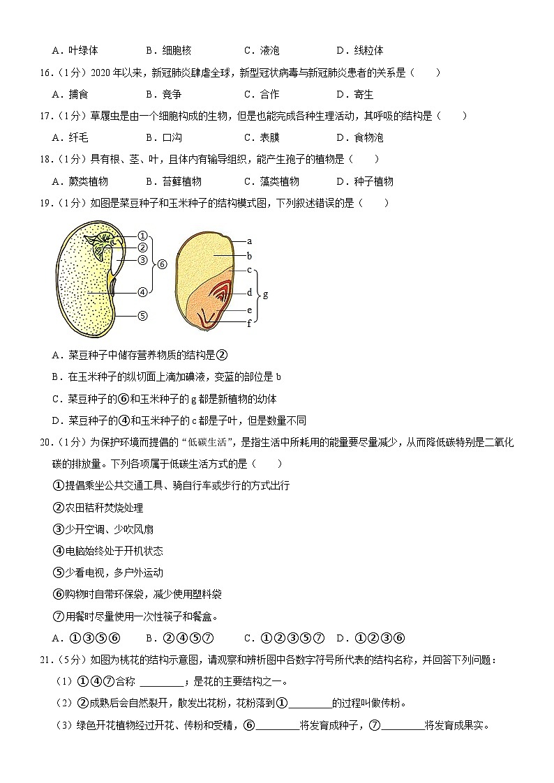 吉林省长春市榆树市部分学校2023-2024学年七年级上学期12月月考生物试题第3页