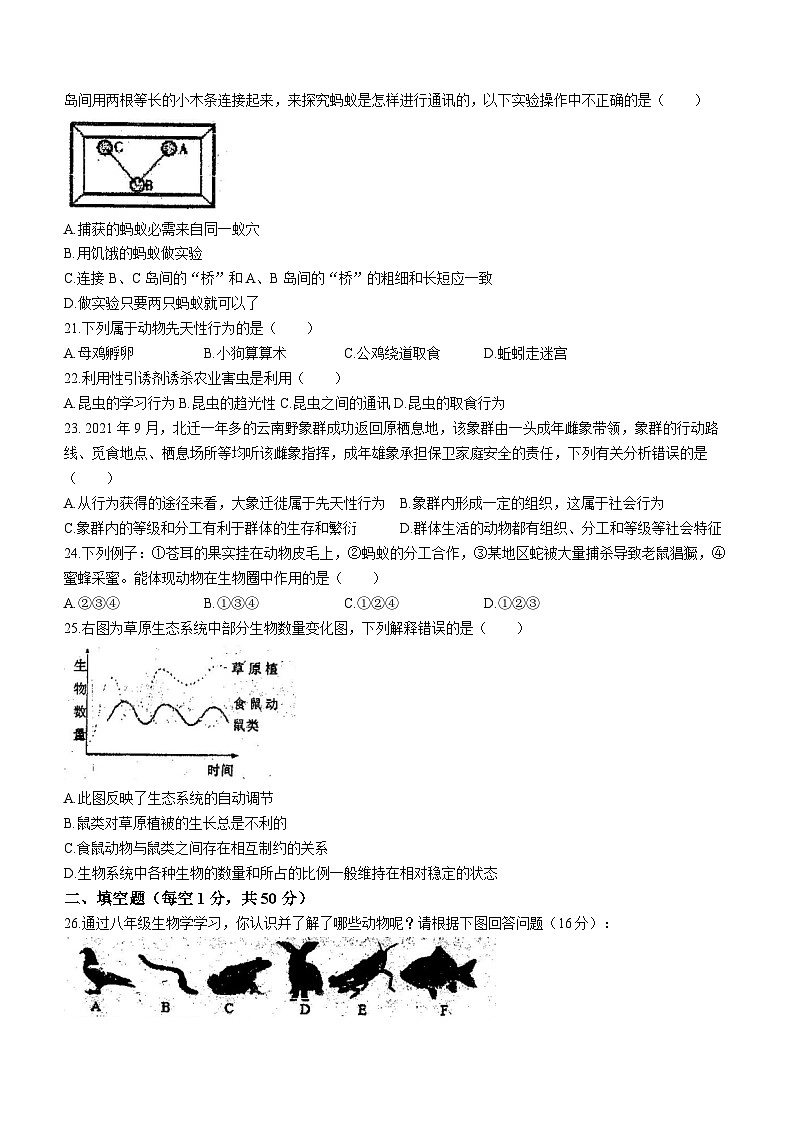 贵州省黔东南苗族侗族自治州凯里市第六中学2023-2024学年八年级上学期期中生物试卷(无答案)03