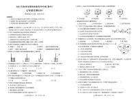 广西来宾市金秀瑶族自治县桐木中学2023-2024学年七年级上学期期中生物试卷（10月）