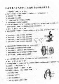 吉林省长春市第八十九中学2023-2024学年七年级上学期11月月考生物试题