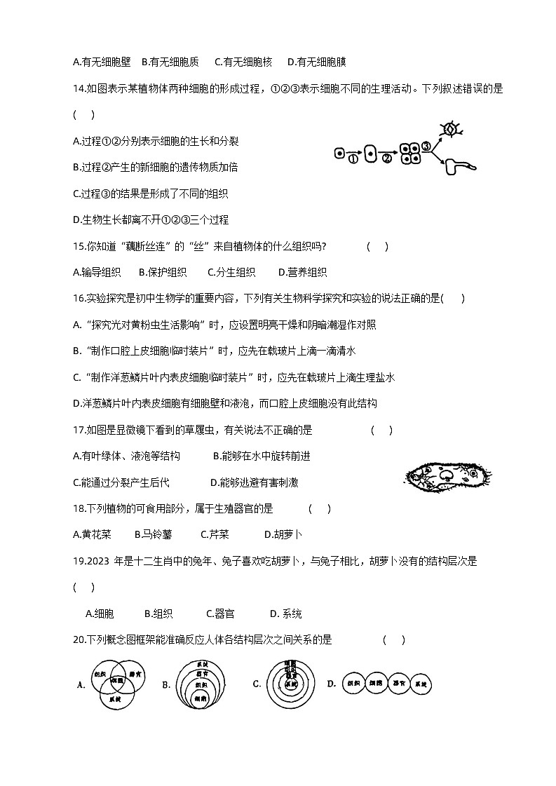 河南省周口市太康县2023-2024学年七年级上学期期中生物试题第3页