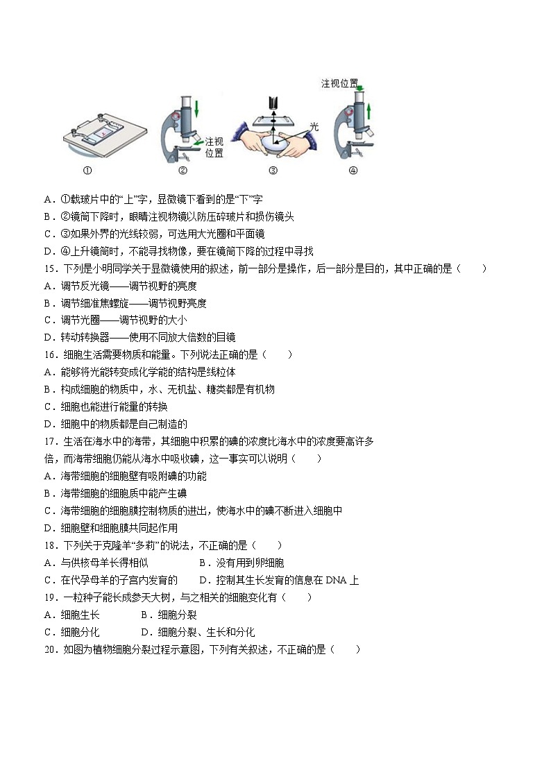 山东省临沂市罗庄区2023-2024学年七年级上学期期中考试生物试题第3页
