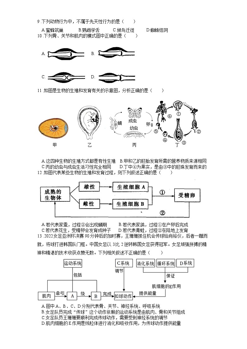 山东省东营市第十中学2023-2024学年八年级上学期期末模拟生物试题第2页