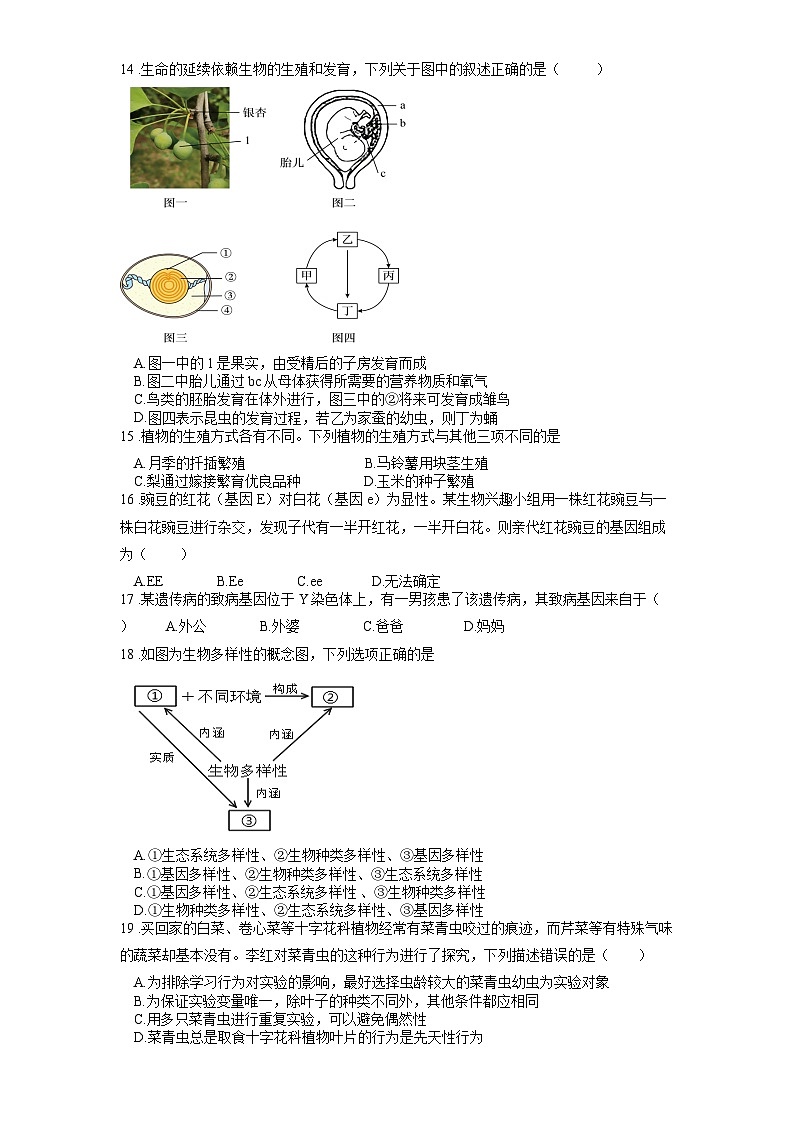 山东省东营市第十中学2023-2024学年八年级上学期期末模拟生物试题第3页