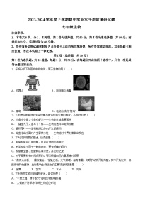 山东省临沂市河东区2023-2024学年七年级上学期期中考试生物试题