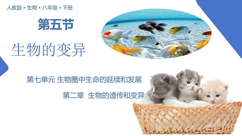 【核心素养】人教版八年级下册7.2.5《生物的变异》课件＋课时练习＋教案（含教学反思）01