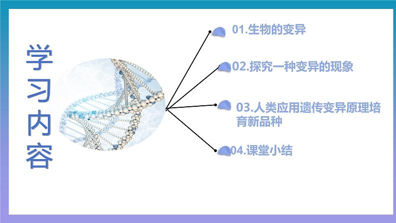 【核心素养】人教版八年级下册7.2.5《生物的变异》课件＋课时练习＋教案（含教学反思）03