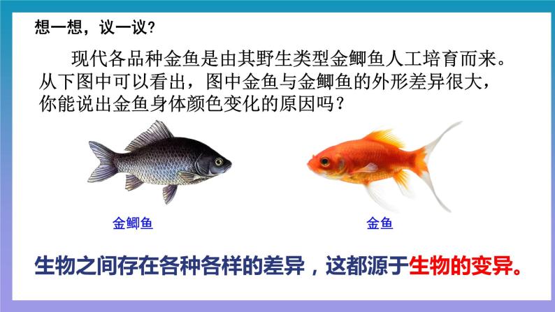 【核心素养】人教版八年级下册7.2.5《生物的变异》课件＋课时练习＋教案（含教学反思）04