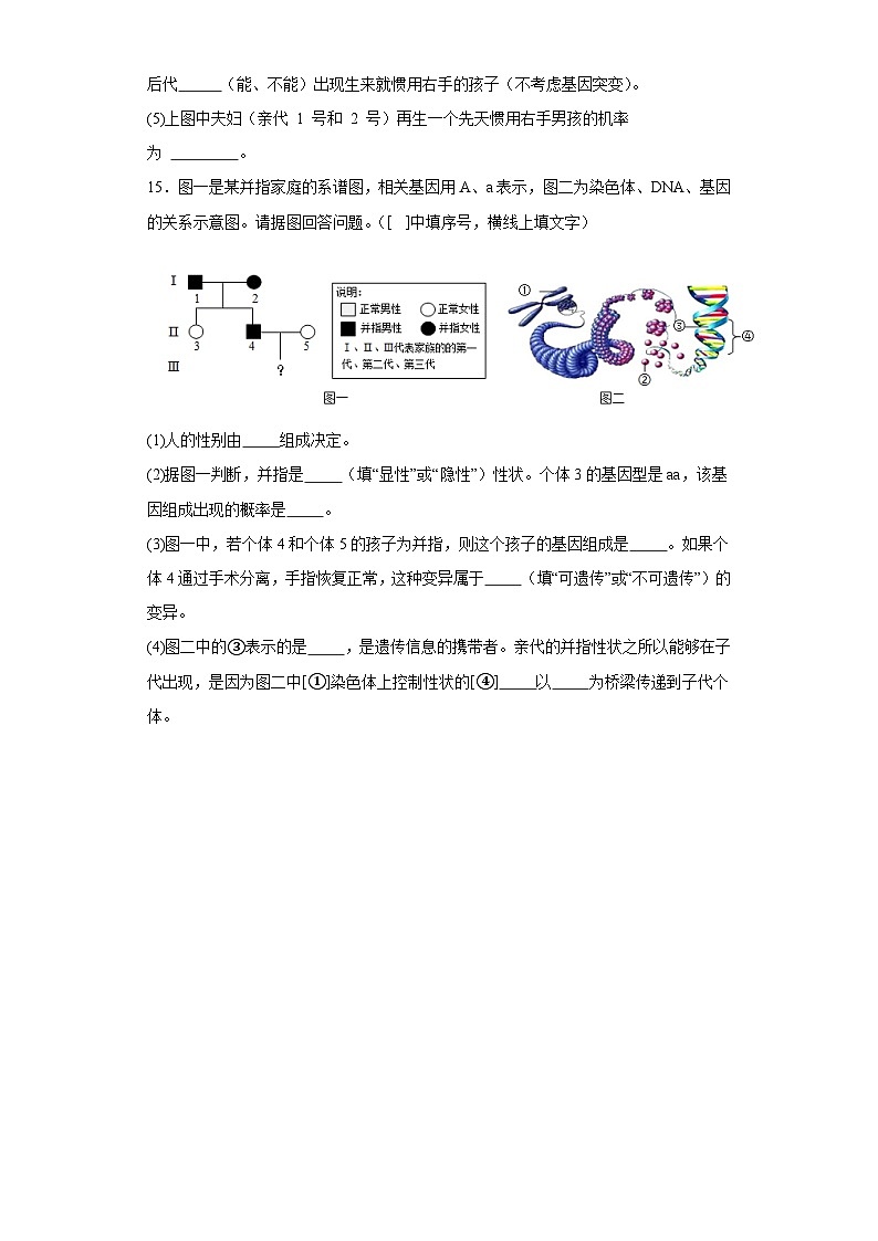 【核心素养】人教版八年级下册7.2.5《生物的变异》课件＋课时练习＋教案（含教学反思）03