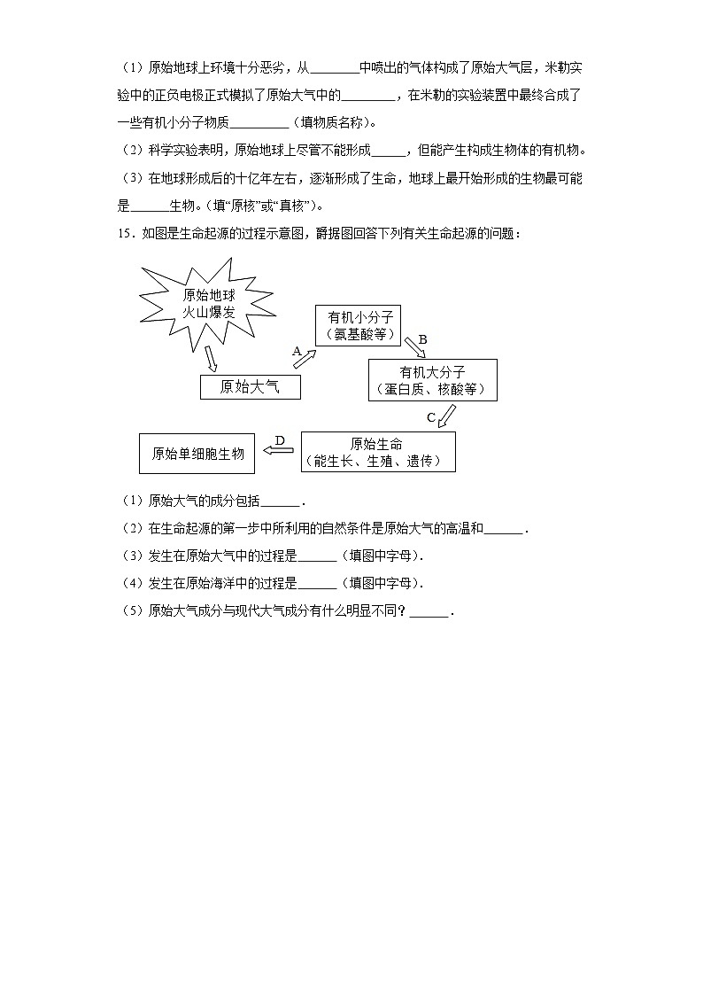 【核心素养】人教版八年级下册7.3.1《地球上生命的起源》课件＋课时练习＋教案（含教学反思）03
