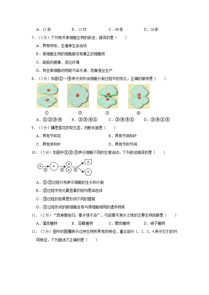广西南宁市三美学校2023-2024学年七年级上学期期中生物试卷02