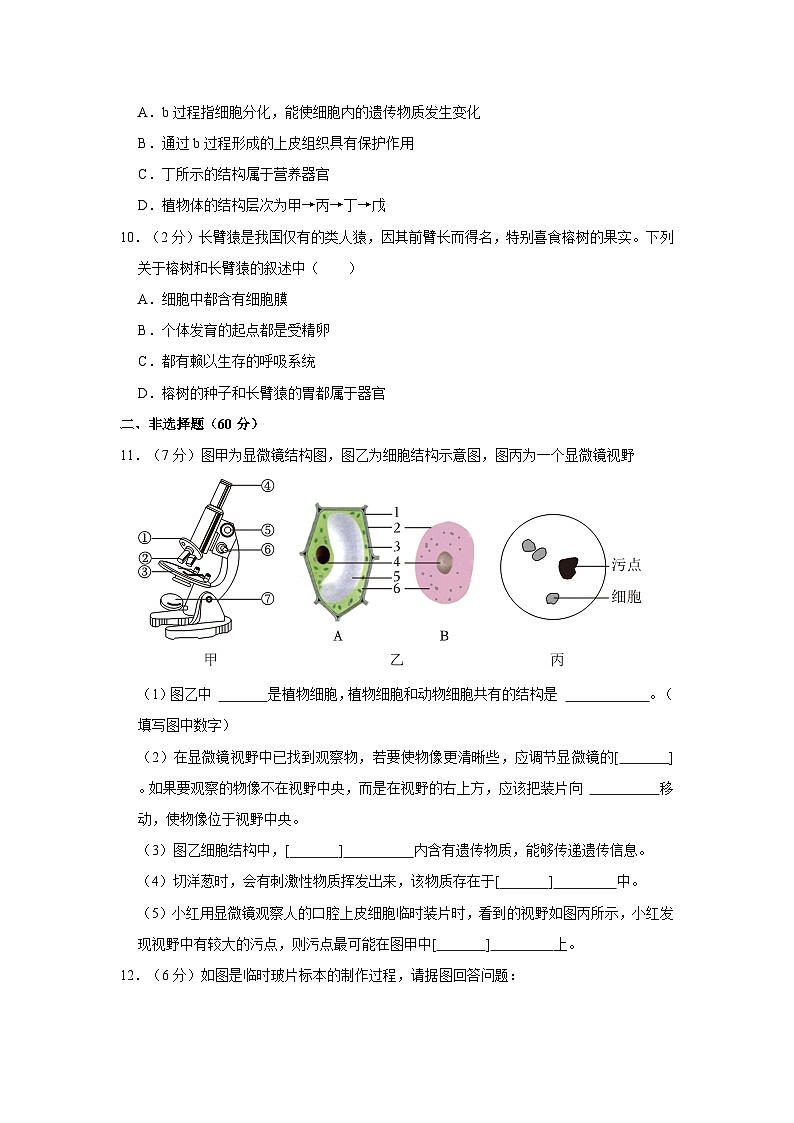 湖北省恩施州利川市三校联考2023-2024学年七年级上学期期中生物试卷第3页