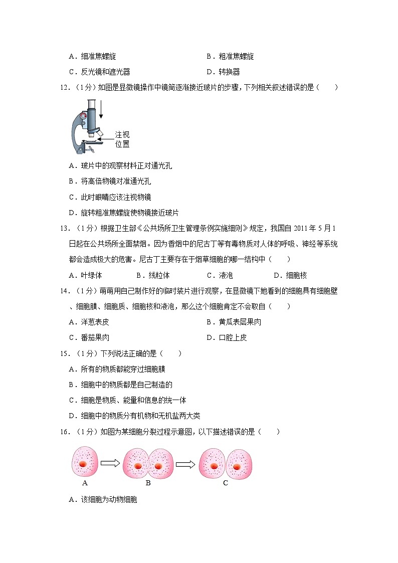 湖北省黄石市阳新县2023-2024学年七年级上学期期中生物试卷第3页