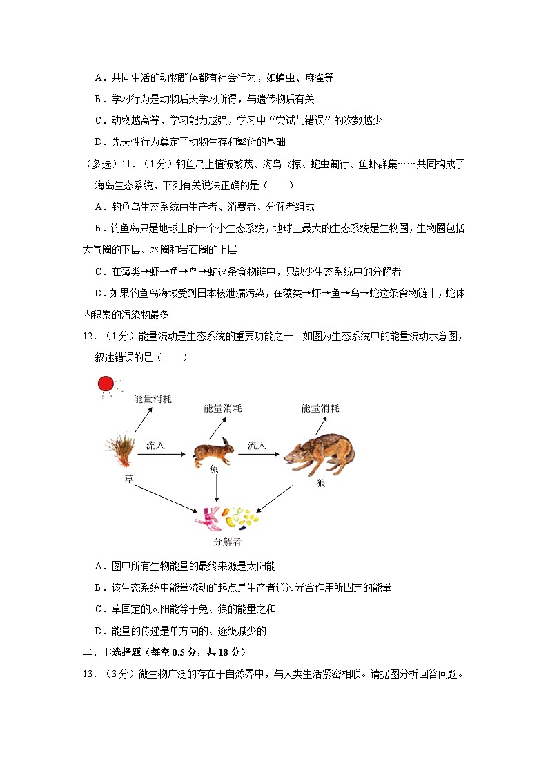 辽宁省沈阳市南昌中学2023-2024学年八年级上学期期中生物试卷03