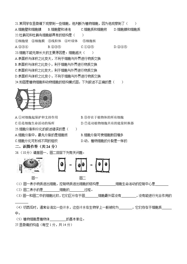 辽宁省朝阳市朝阳县羊山实验中学2023-2024学年七年级上学期期中生物试题03