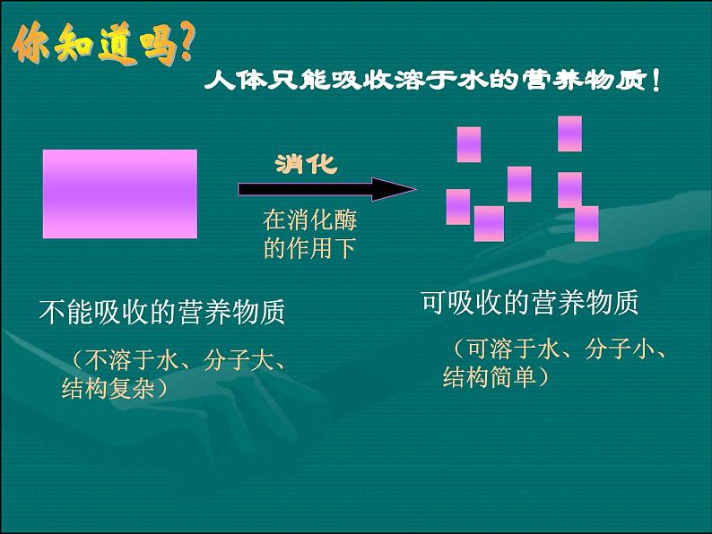 《第三节 营养物质的吸收和利用》课件206