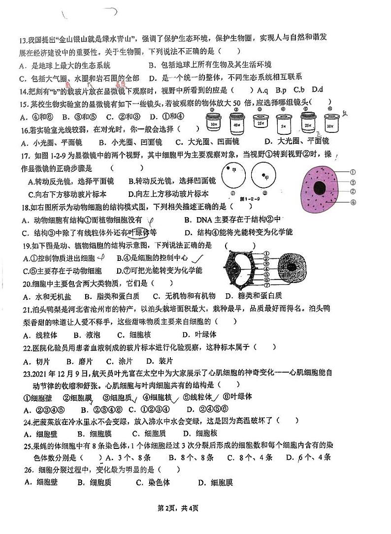 广东省汕尾市陆丰市玉燕中学2023-2024学年七年级上学期月考生物试题第2页