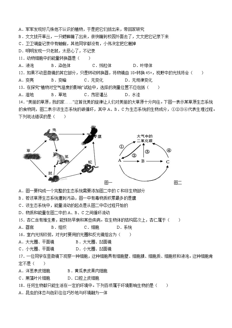 河南省濮阳市范县2023-2024学年七年级上学期期中生物学试卷02