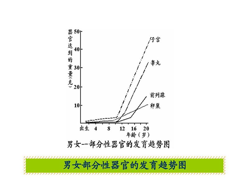 《第二节 健康地度过青春期》课件2第4页