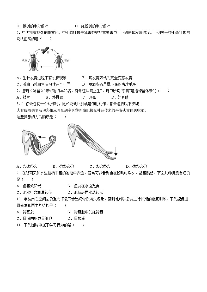 河南省濮阳市范县2023-2024学年八年级上学期期中生物试题02